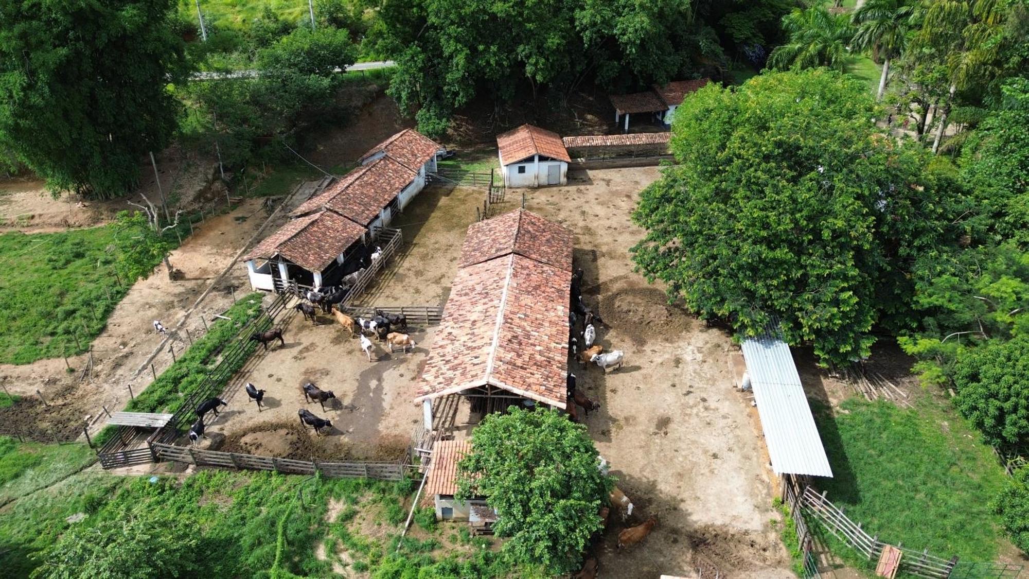 Fazenda Dos Coqueiros-Bananal-Spヴィラ エクステリア 写真